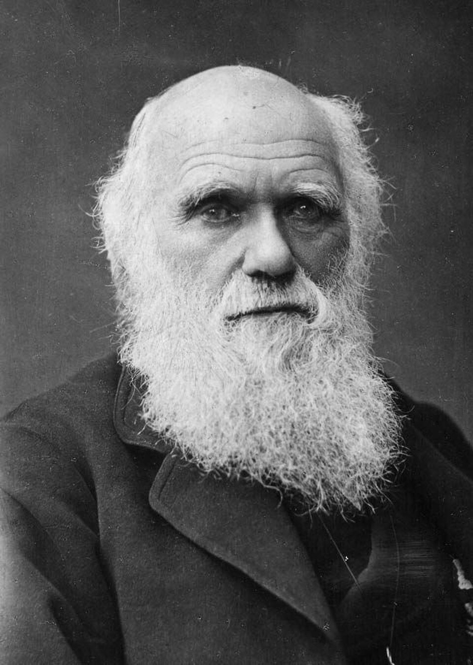 Darwin publica El origen