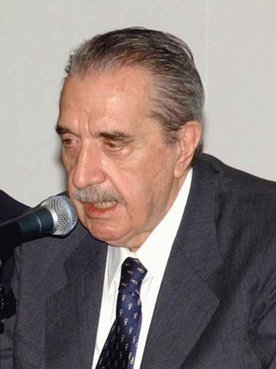 Vuelve la democracia